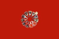 江门市开平回收红酒